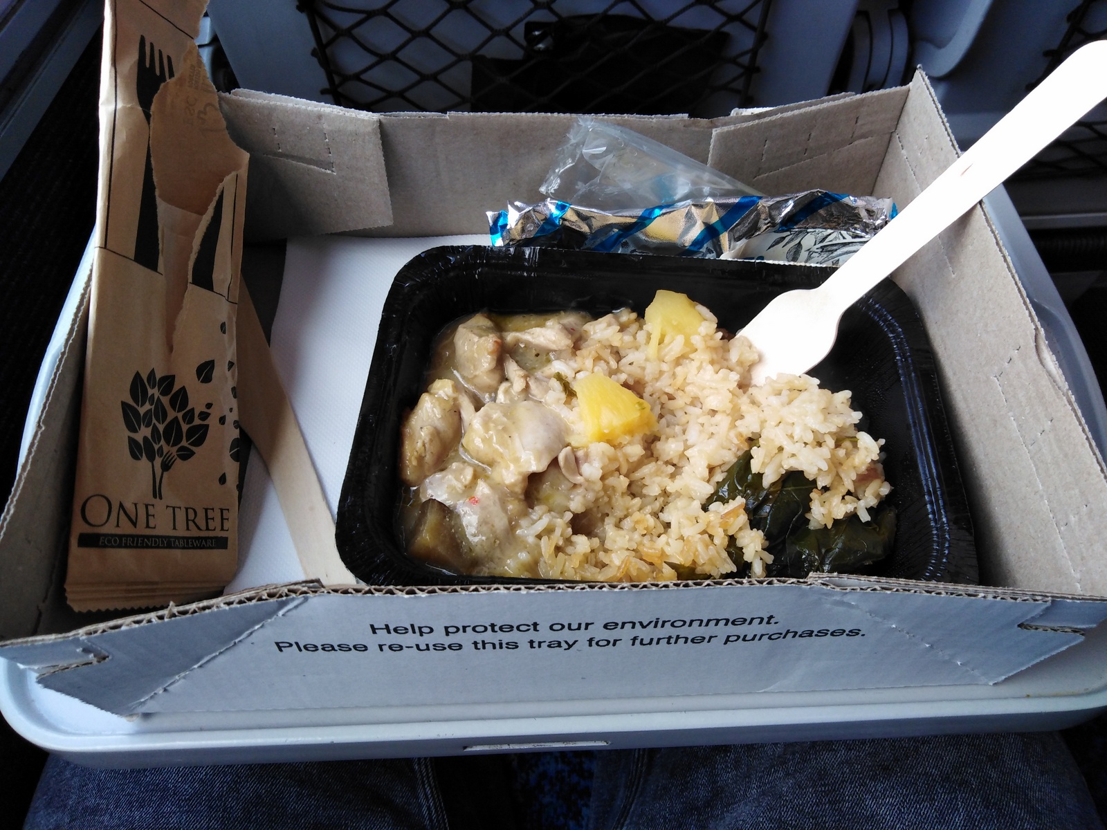 NSW Trainlink Thai green chicken curry hot meal