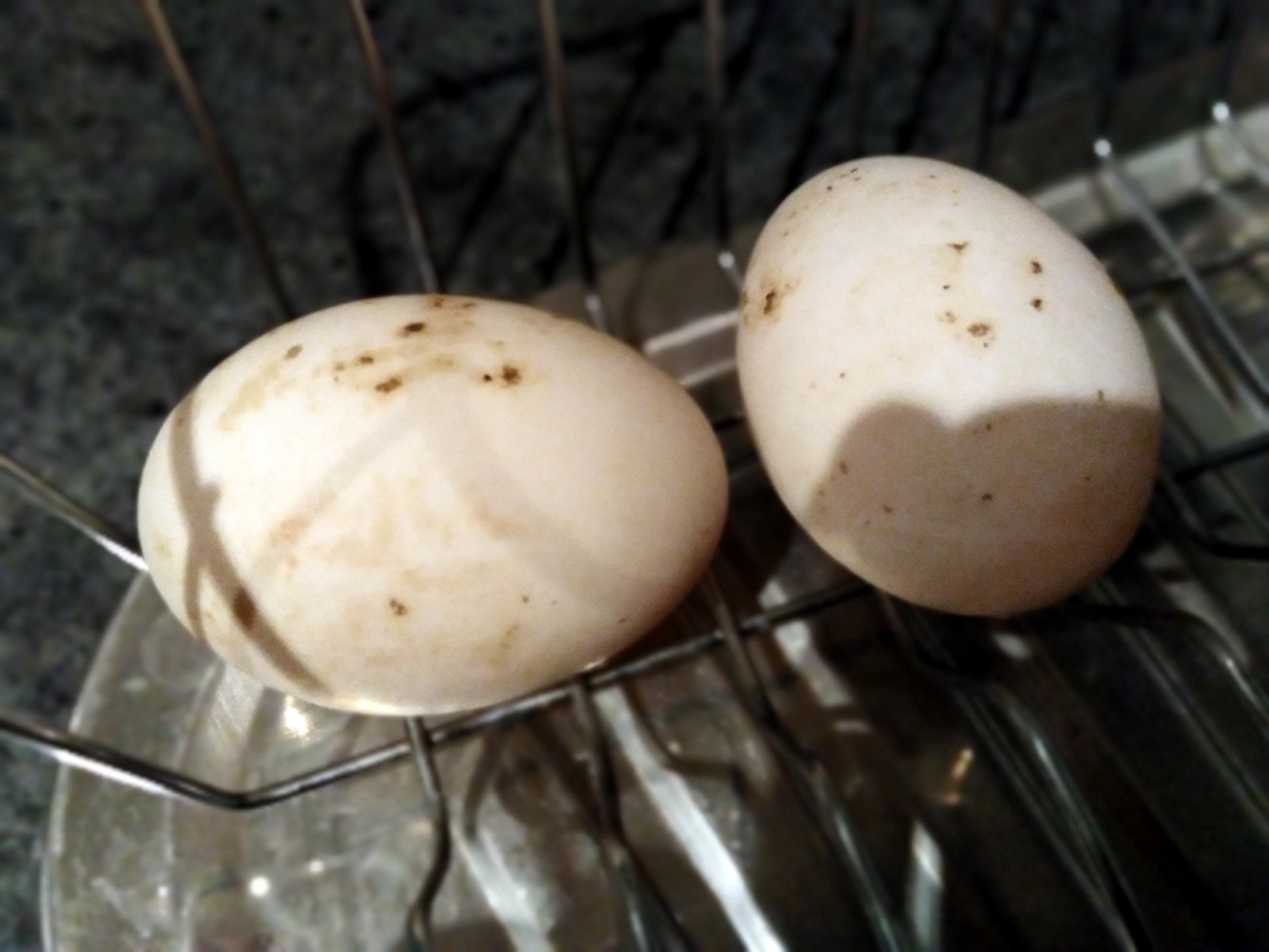 Duck eggs