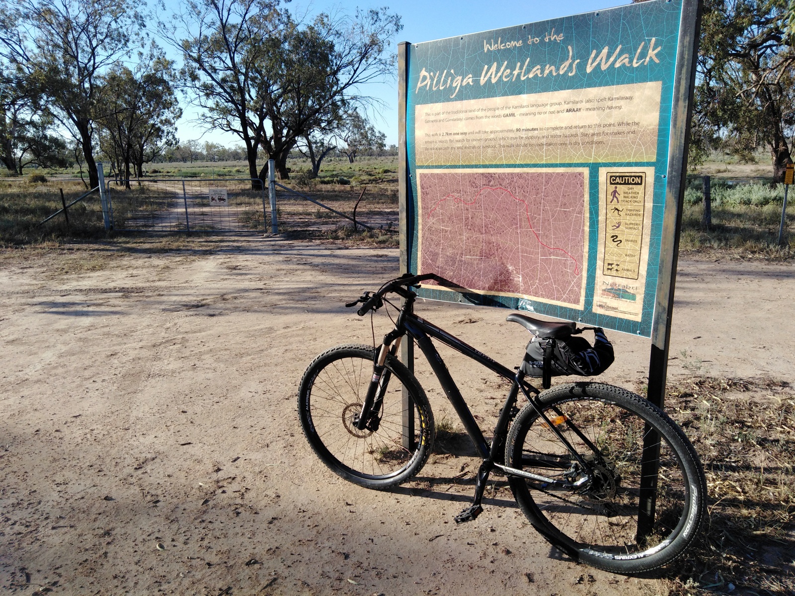 Pilliga wetlands walk