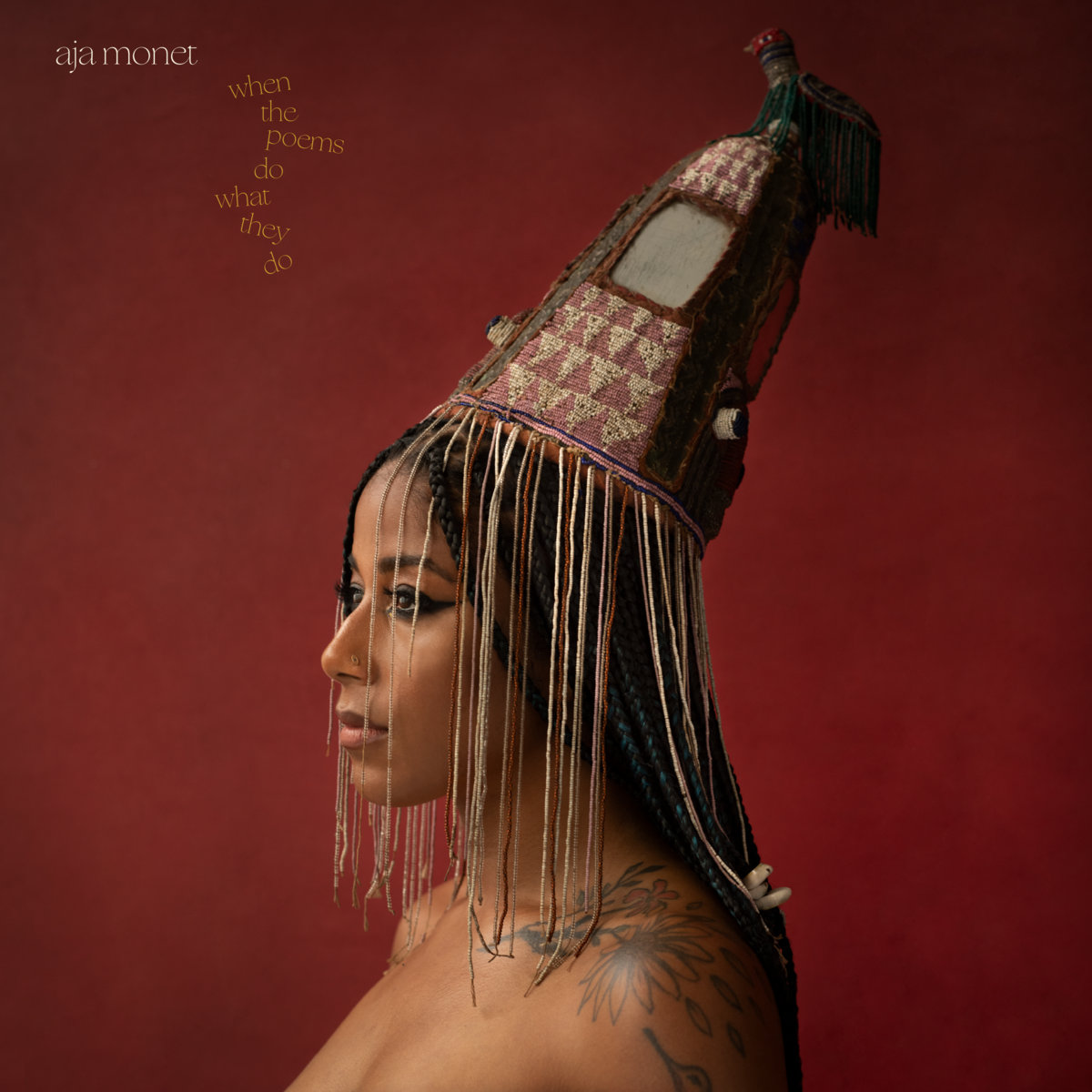 AJA MONET - WHEN THE POEMS DO WHAT THEY DO album cover