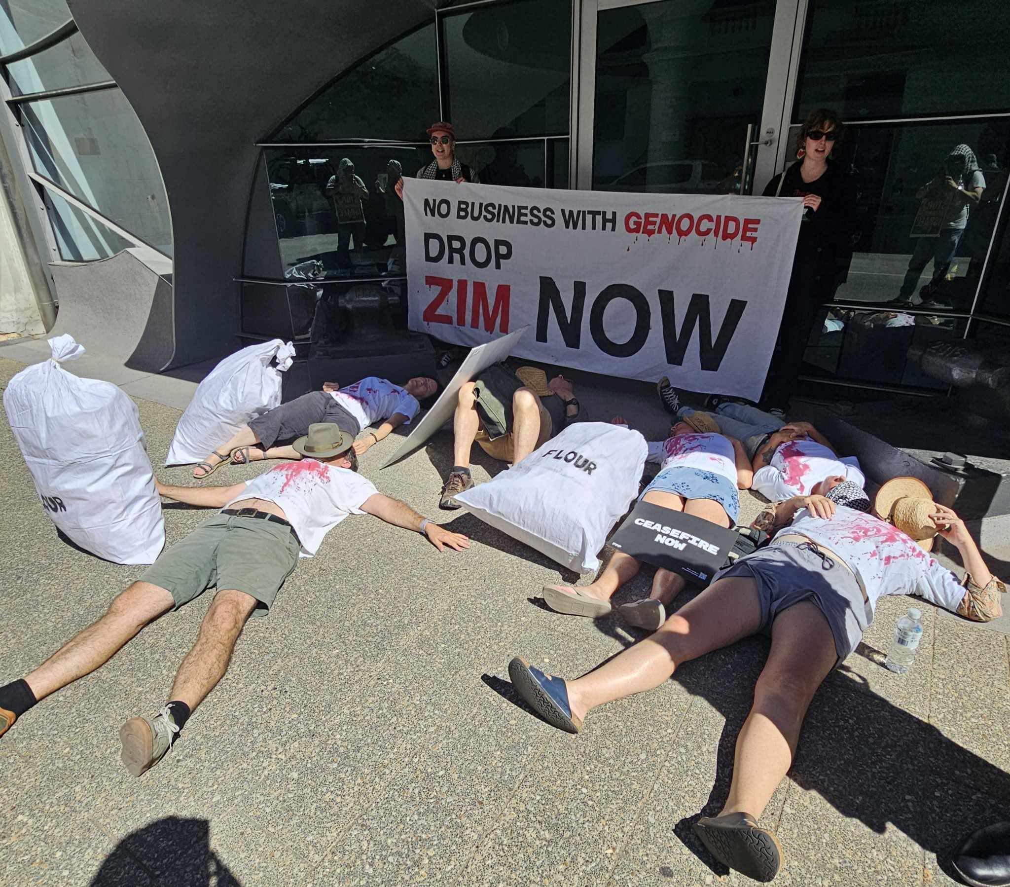 Protesters stage die-in