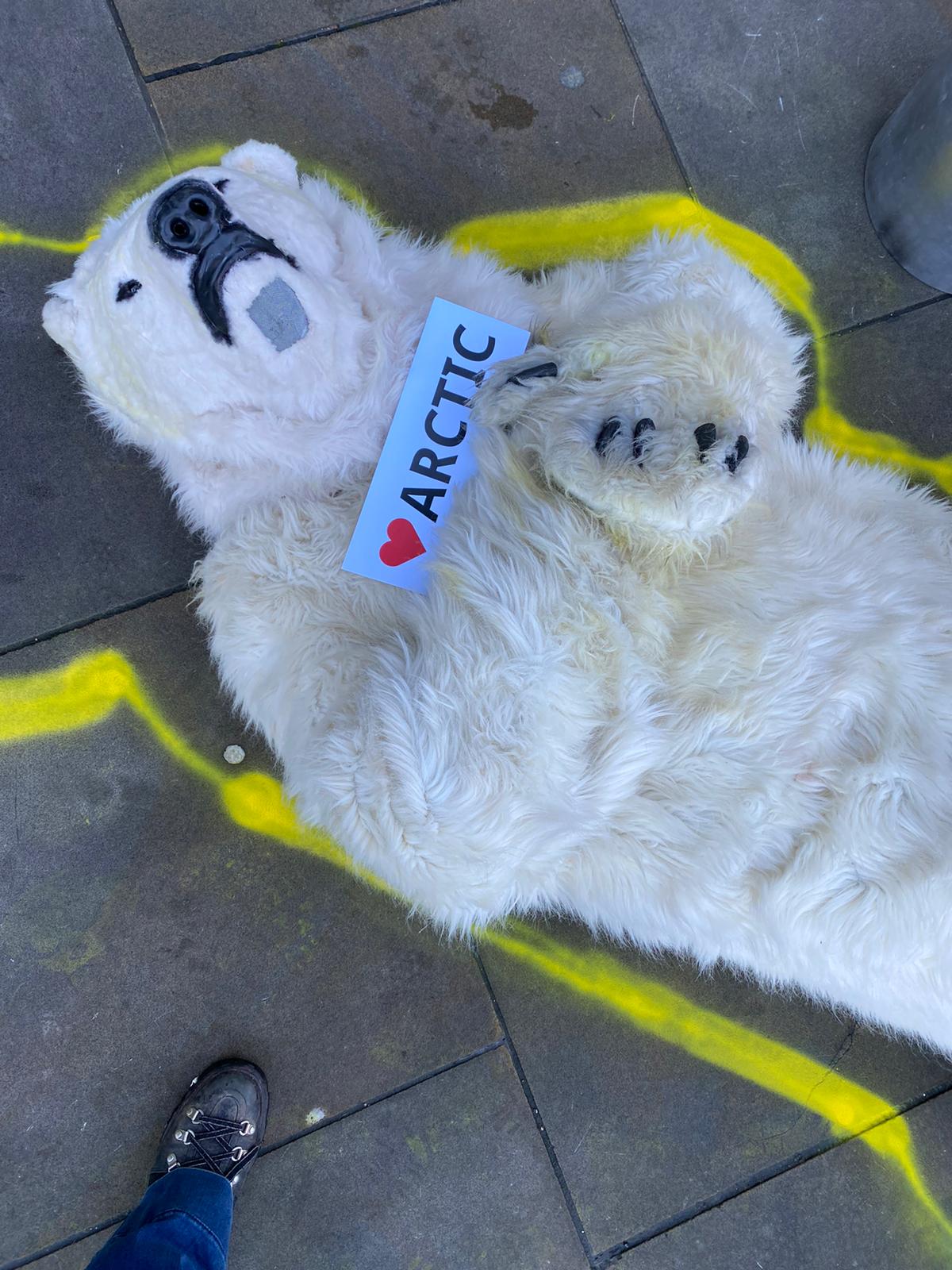 Arctic crime scene. Photo: Matt Mellen/ecohustler.com