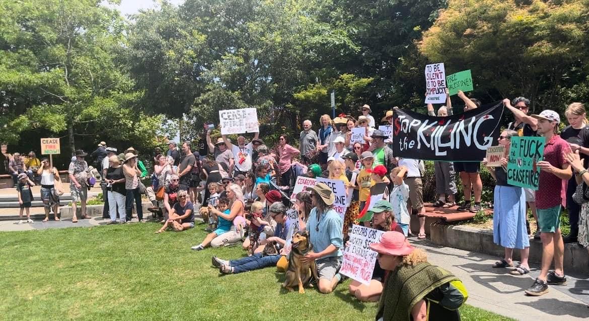 Friends of Palestine Blue Mountains rally