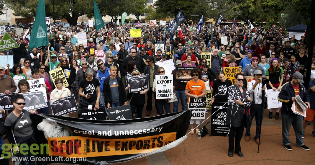 Big crowds at March in May