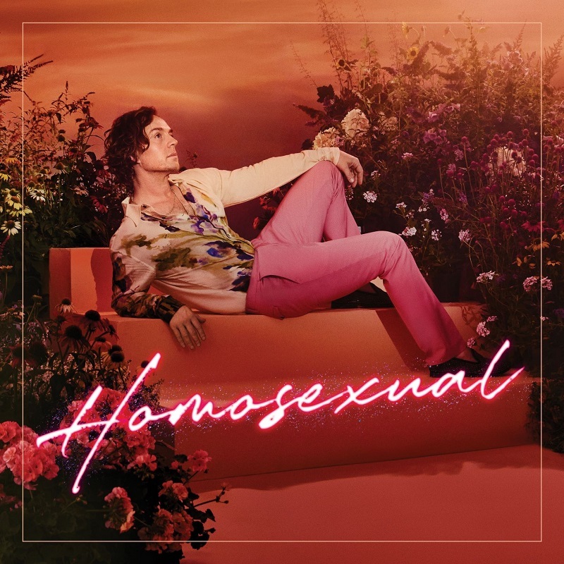 DARREN HAYES - HOMOSEXUAL album artwork