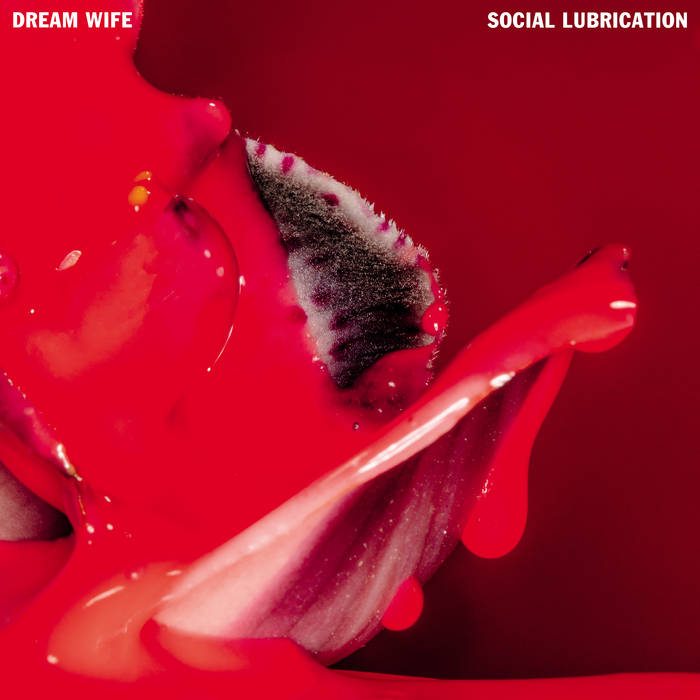 DREAM WIFE - SOCIAL LUBRICATION album cover