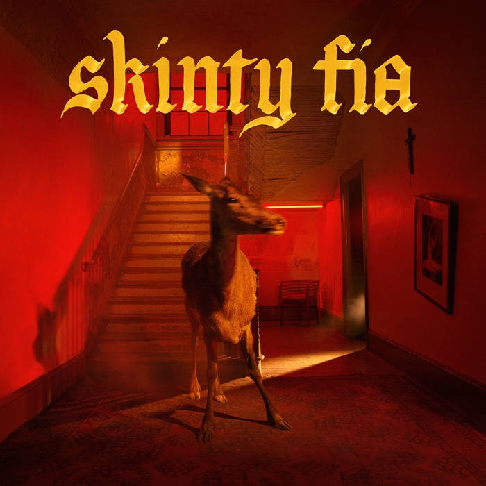 FONTAINES D.C. - SKINTY FIA album artwork