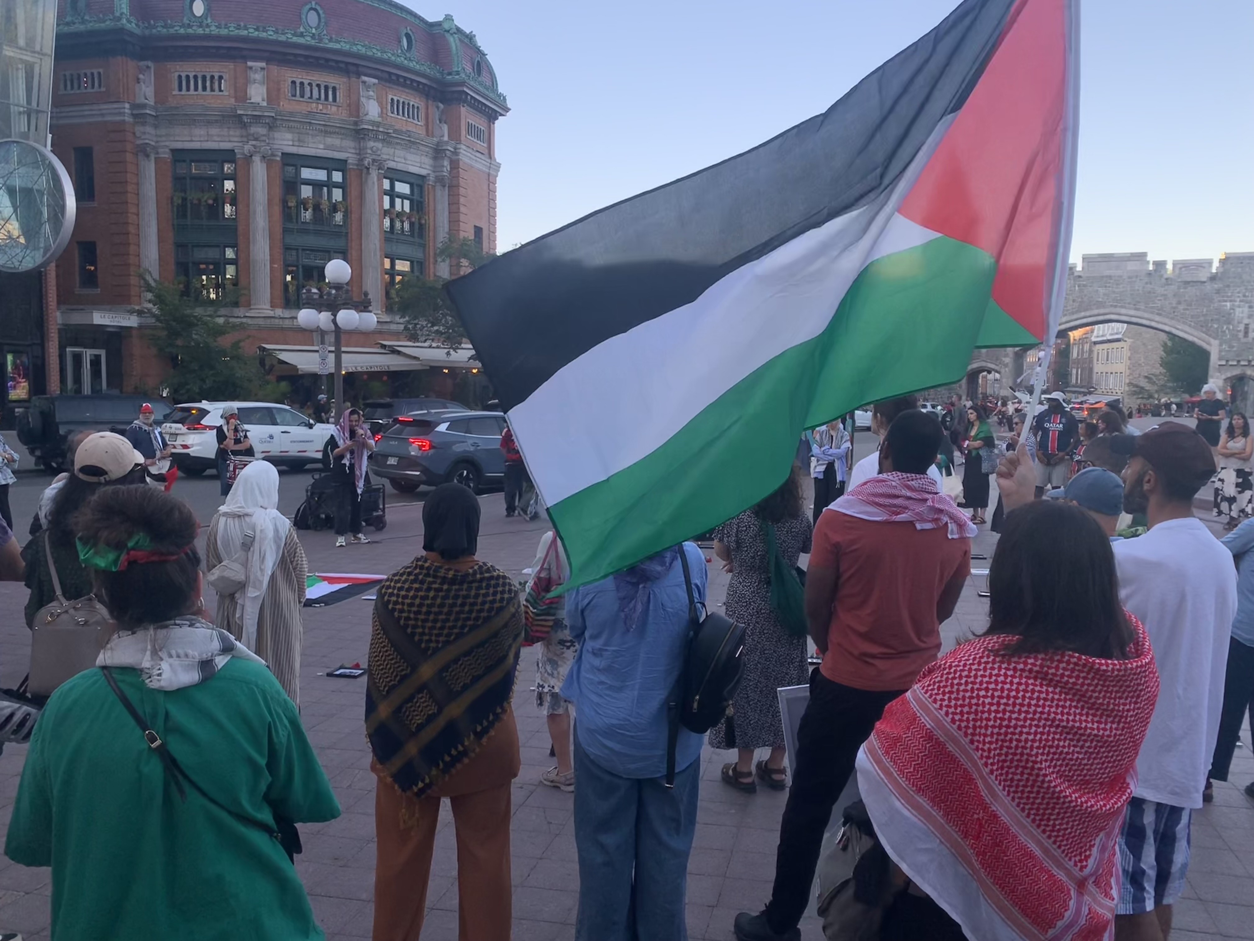 protesters with flags