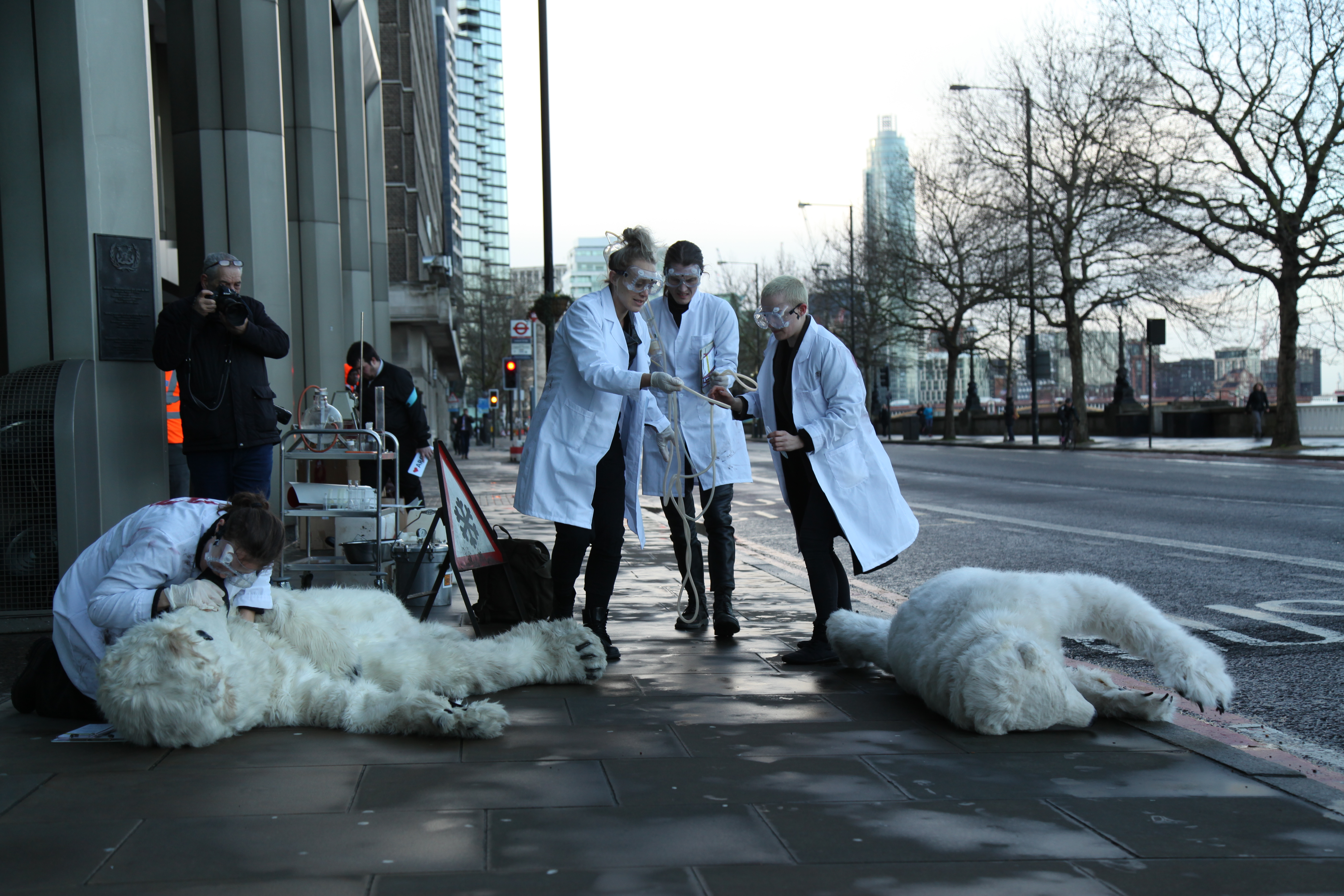 Arctic crime scene. Photo: Matt Mellen/ecohustler.com