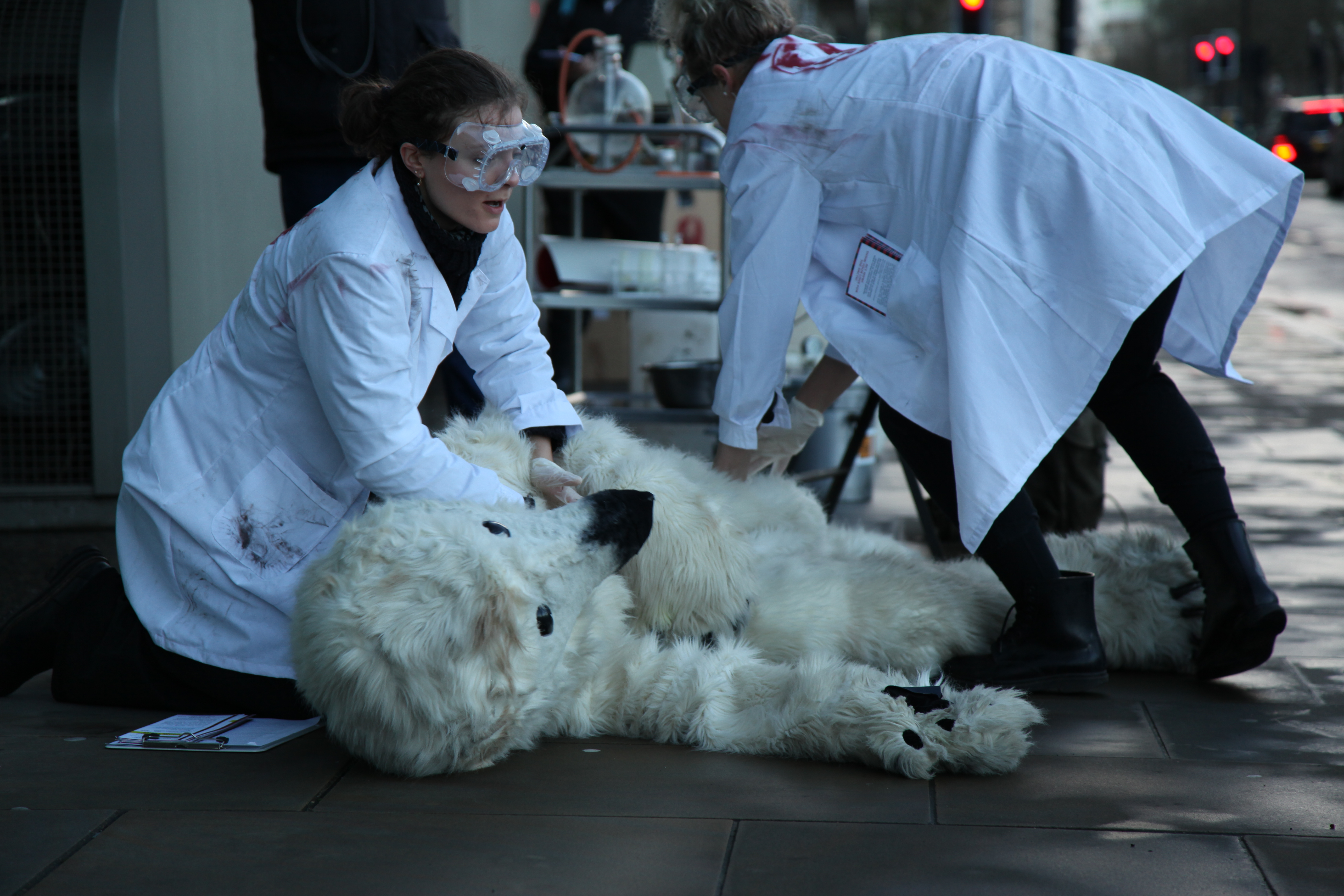 Arctic crime scene. Photo: Matt Mellen/ecohustler.com.
