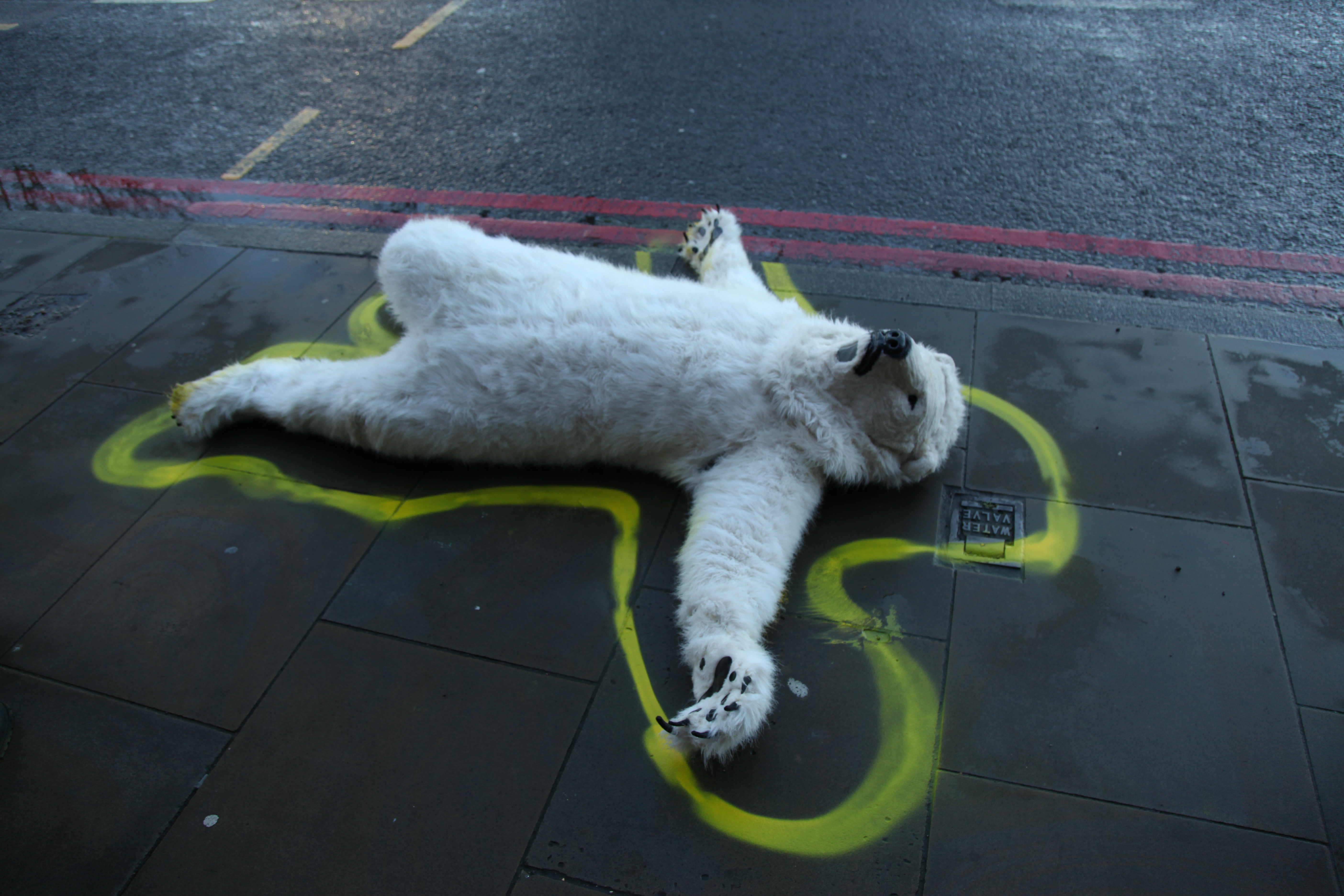 Arctic crime scene. Photo: Matt Mellen/ecohustler.com.