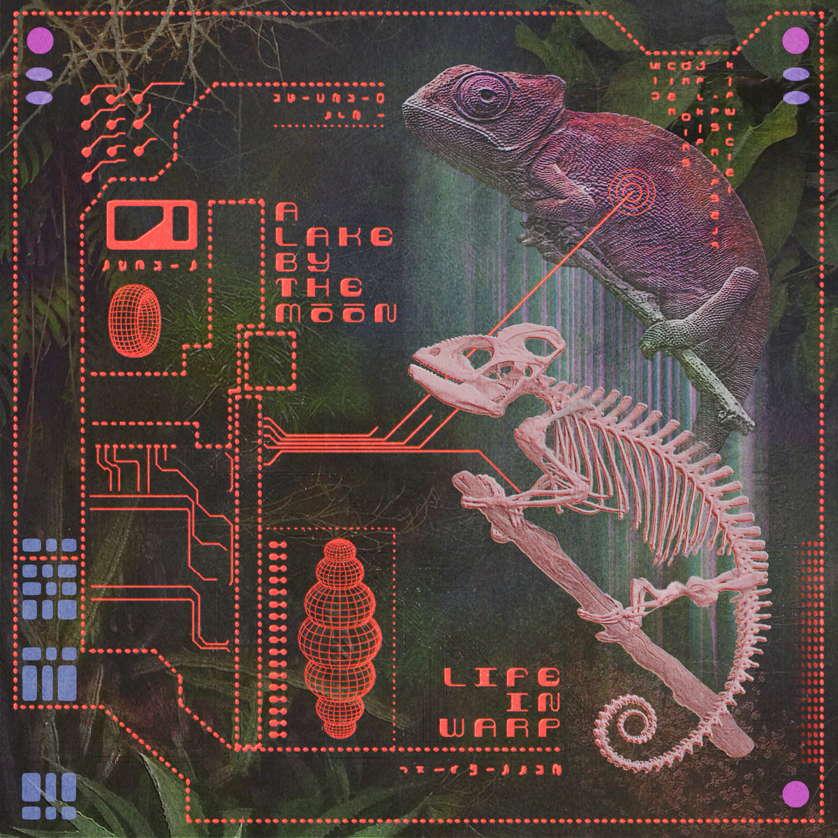 A LAKE BY THE MOON - LIFE IN WARP album artwork