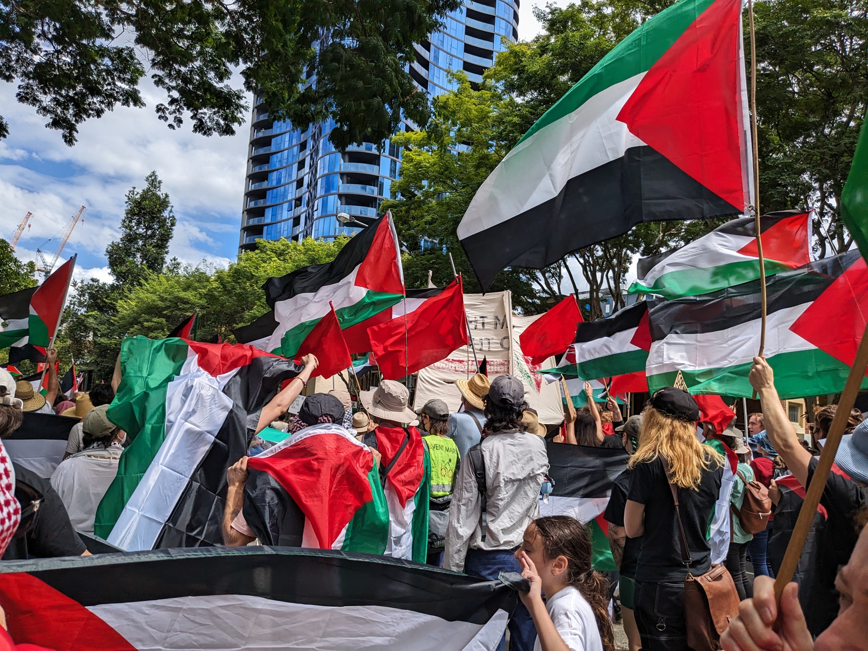 Carrying Palestinian flags
