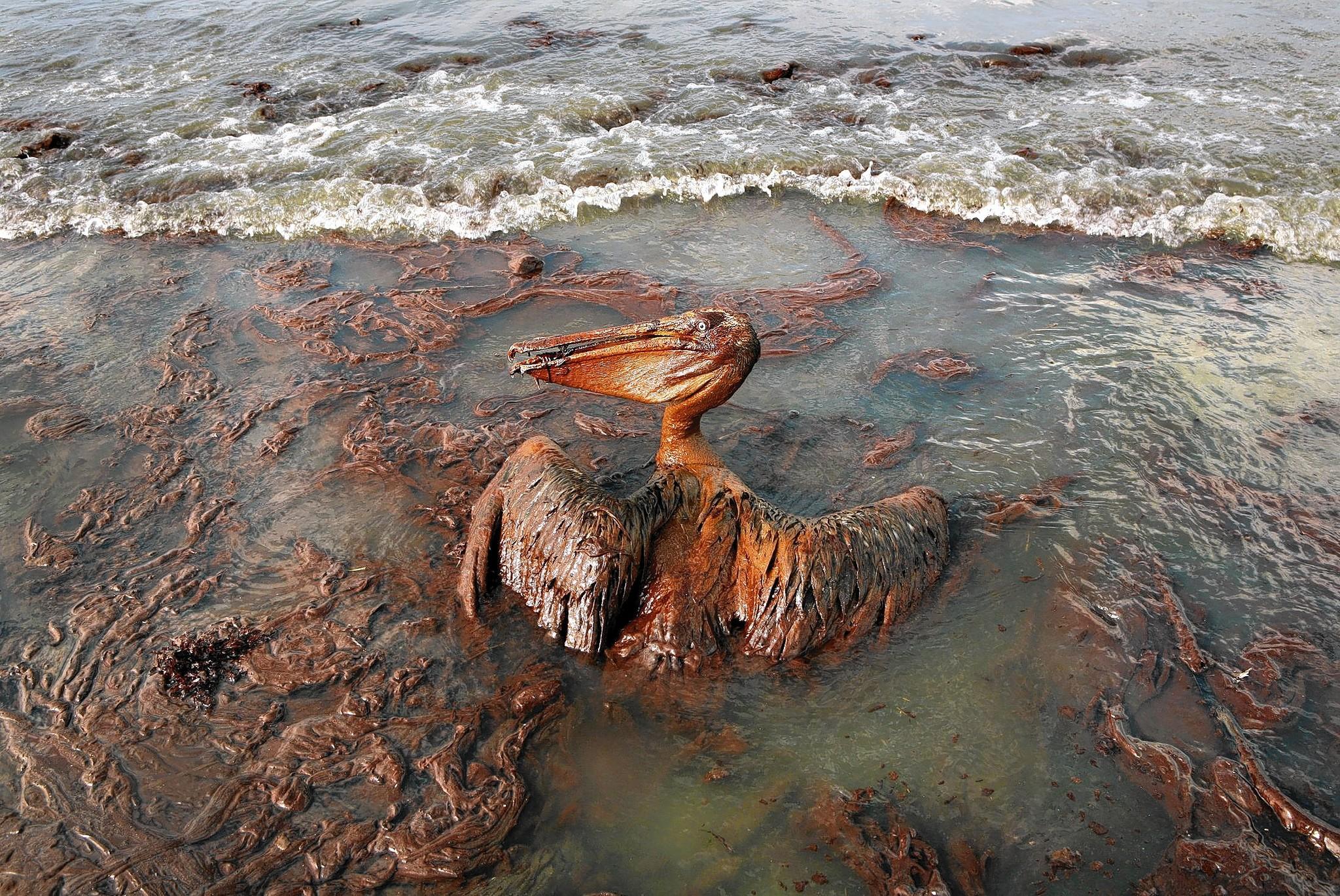 Экологические последствия воды