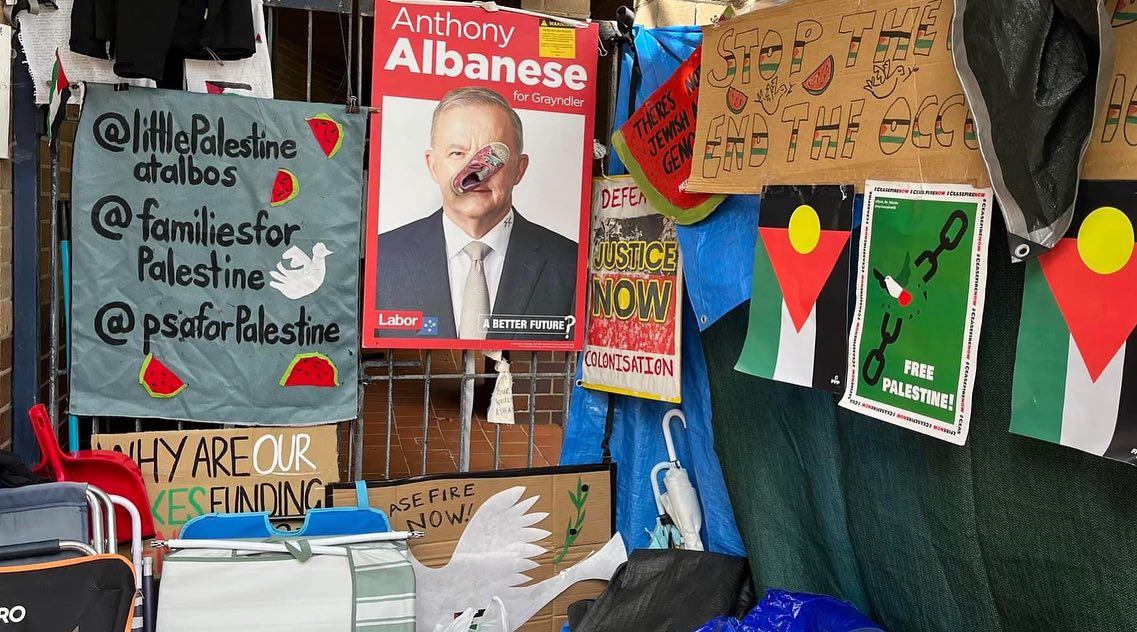 Activists have decorated Albanese's office with Palestine solidarity messages. 