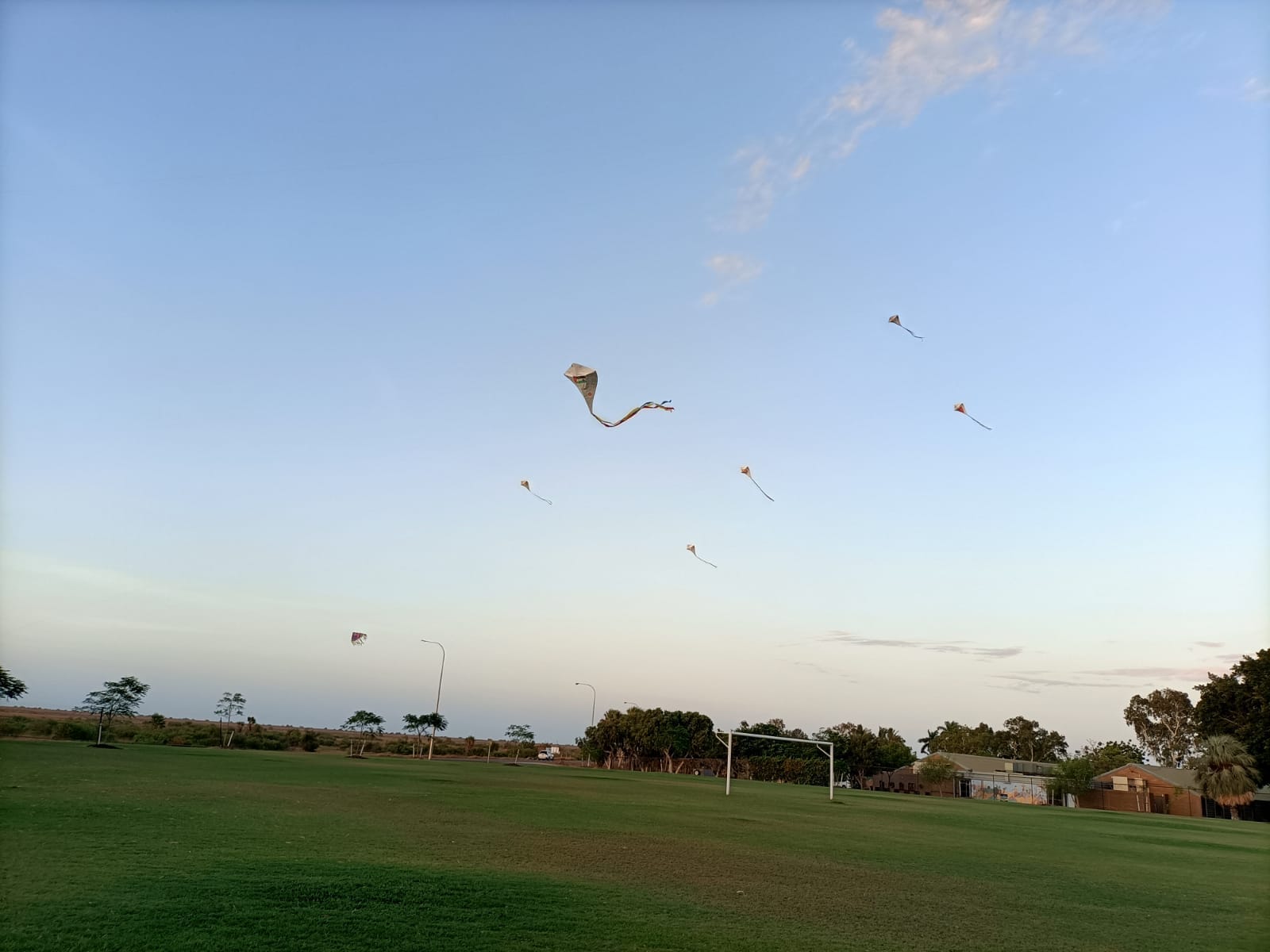 Kites flying for Gaza.