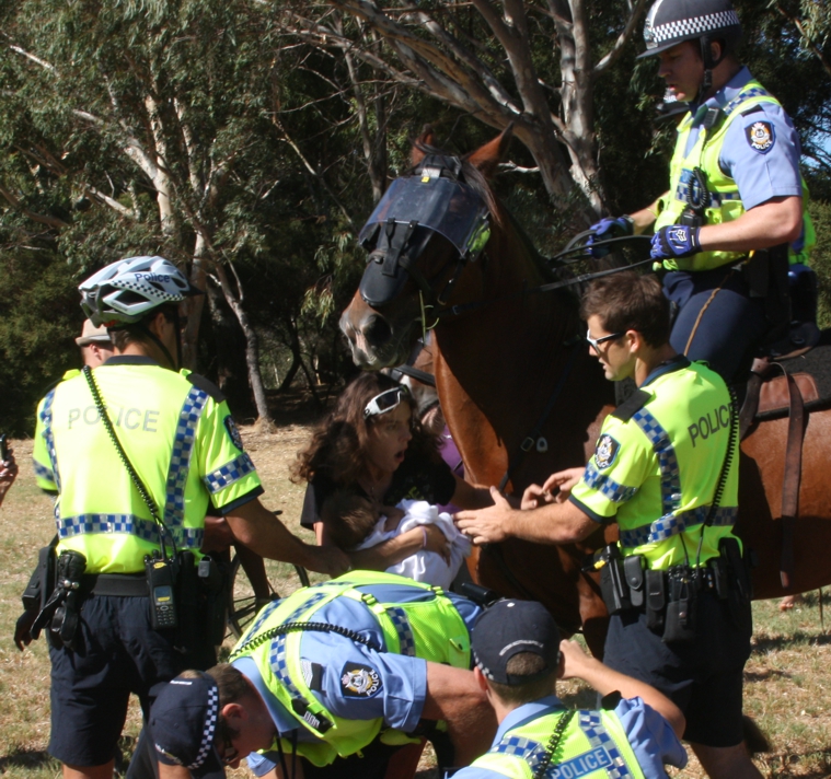 Police horse near Shilo