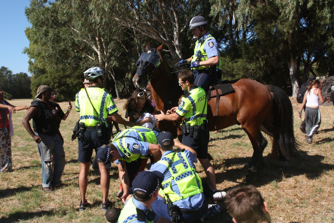 Police horse near Shilo