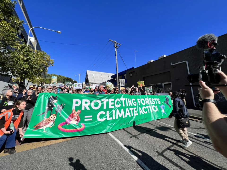 Protect native forests Protect native forests