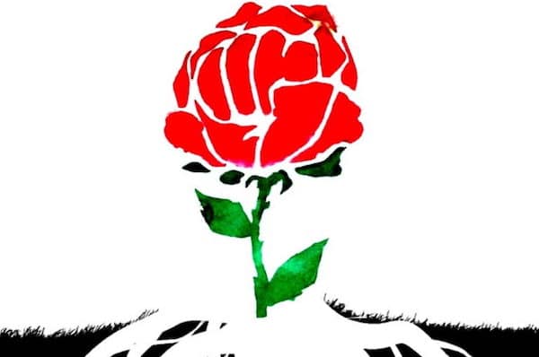 Five new books for ecosocialists