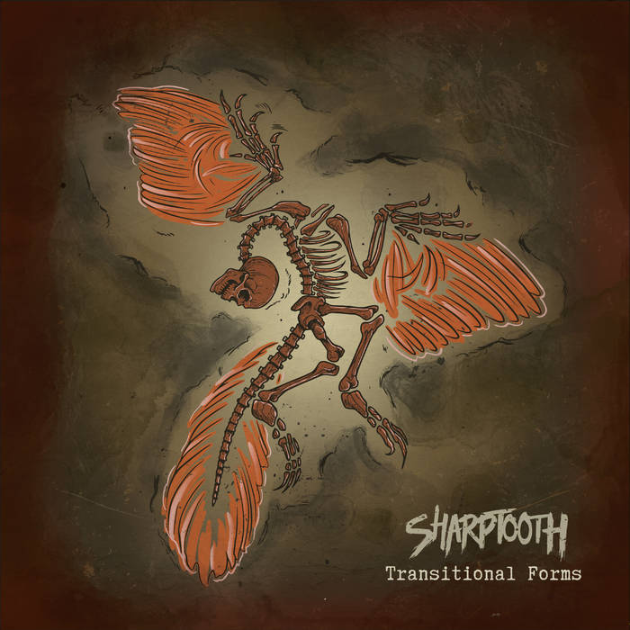 SHARPTOOTH - TRANSITIONAL FORMS album artwork