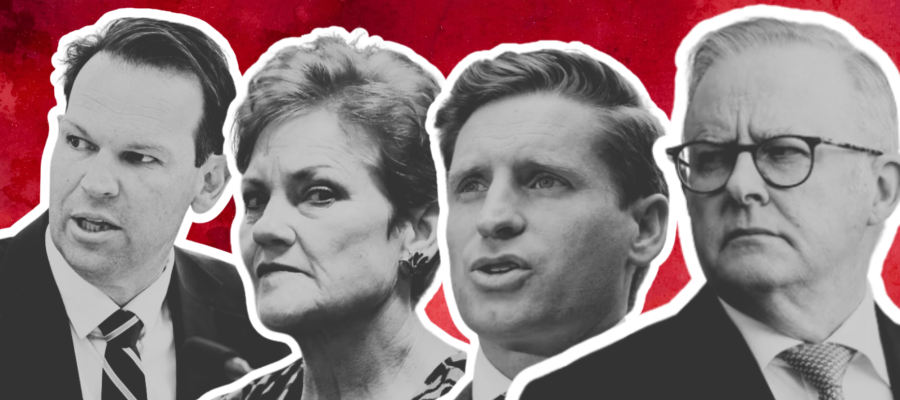 matt canavan, pauline hanson, andrew hastie and anthony albanese