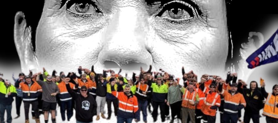 Pauline Hanson workers taking action