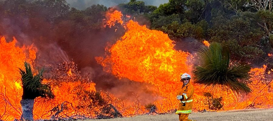 Black summer bushfires