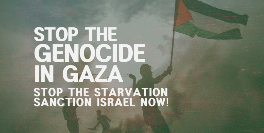Stop the genocide