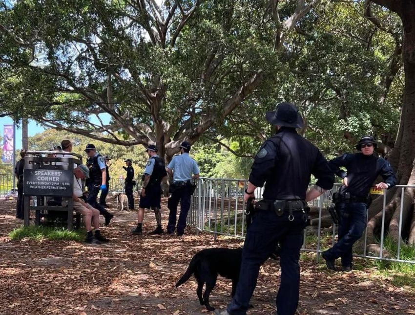 NSW police