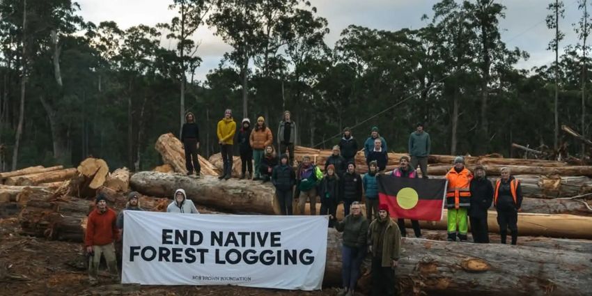 End Native Forest Logging protesters - Bob Brown Foundation