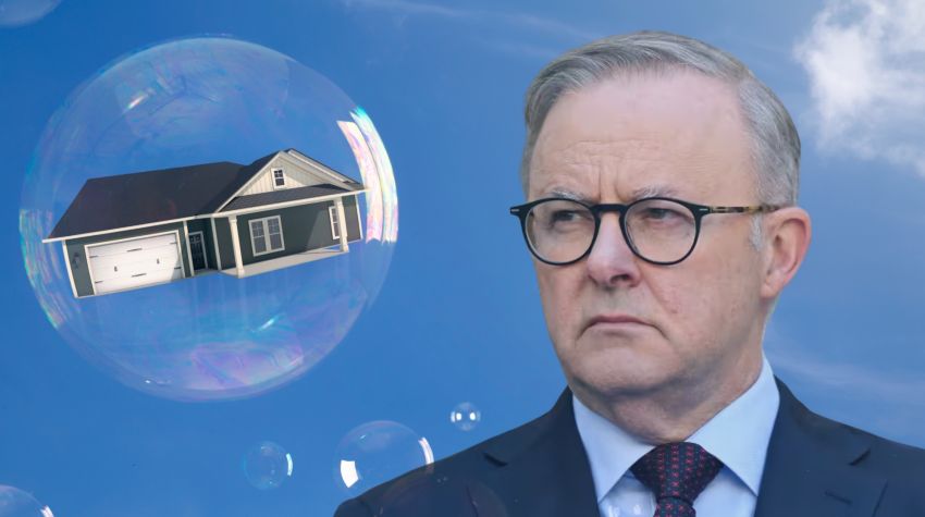 house in a bubble and Anthony Albanese