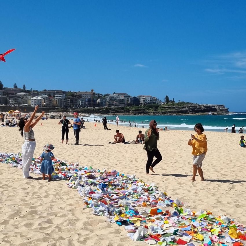 kites at maroubra kites at maroubra