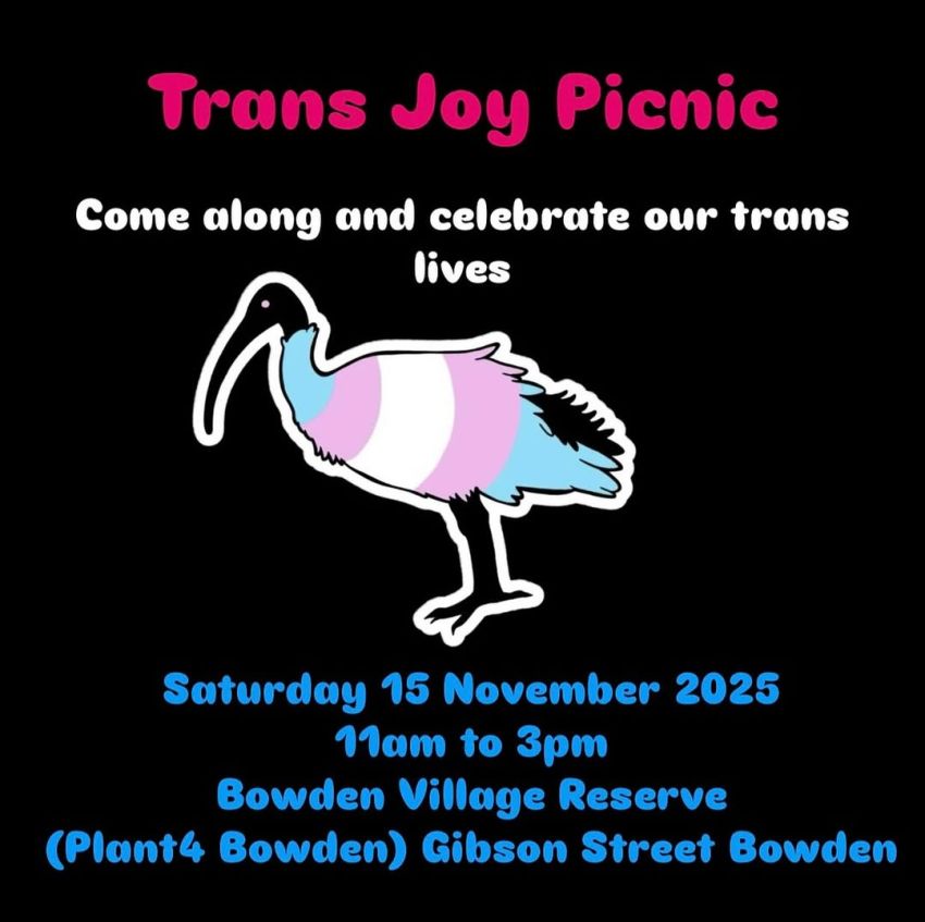 Graphic for Trans Joy Pcinic event 15/11/2025 Bowden Village Reserve