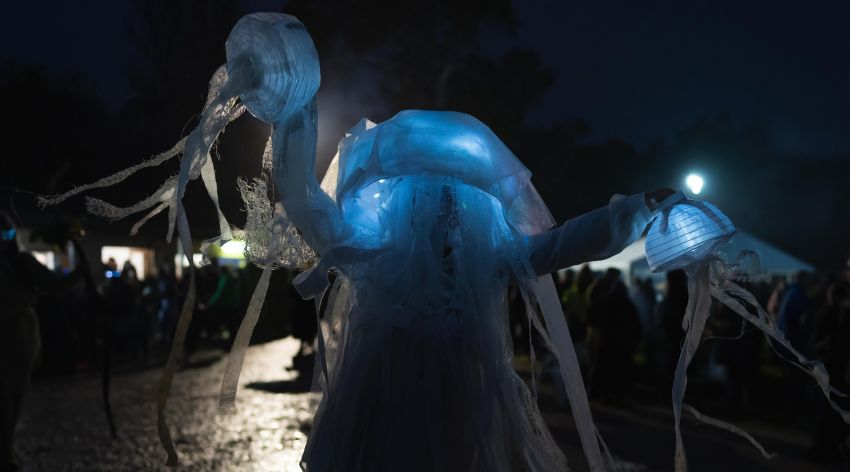 Cropped photo of Dancing Monsters performance.