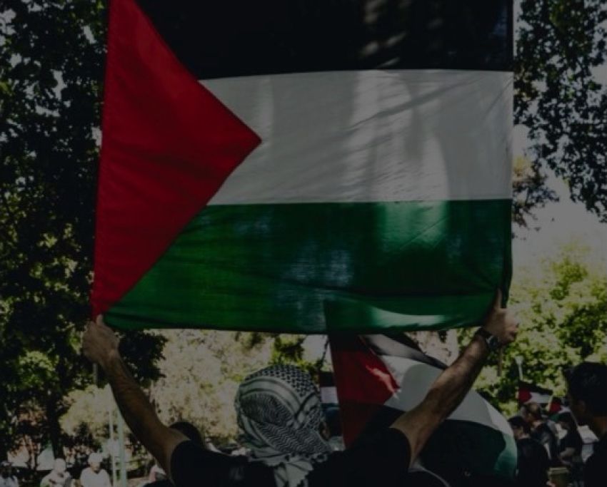 Cropped photo of person holding Palestine flag at Palestine solidarity protest