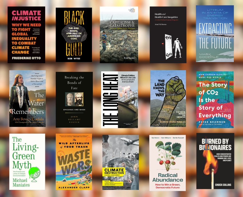 Book covers against a blurred bookshelf background