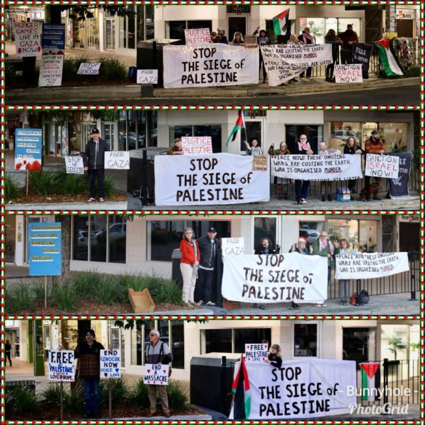 Photo collage of past Lismore Vigil for Palestine gatherings