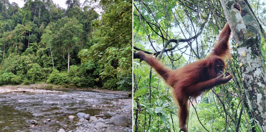 photos for SE Asia article