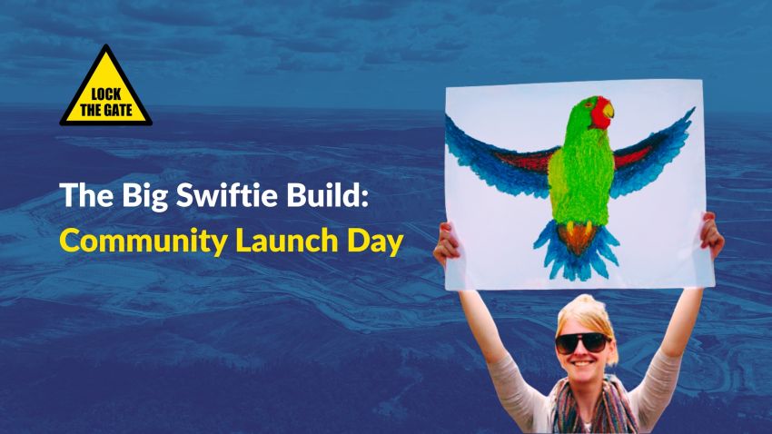 Graphic for event The Big Swiftie Build: Community Launch Day, 11/01/2026 Hamilton North Muloobinba