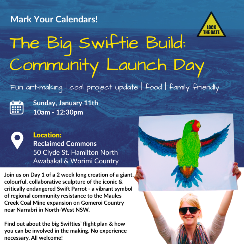 Leaflet for event The Big Swiftie Build Community Launch Day, 10am to 12:30pm 11/01/2026 Reclaimed Commons Hamilton North Muloobinba