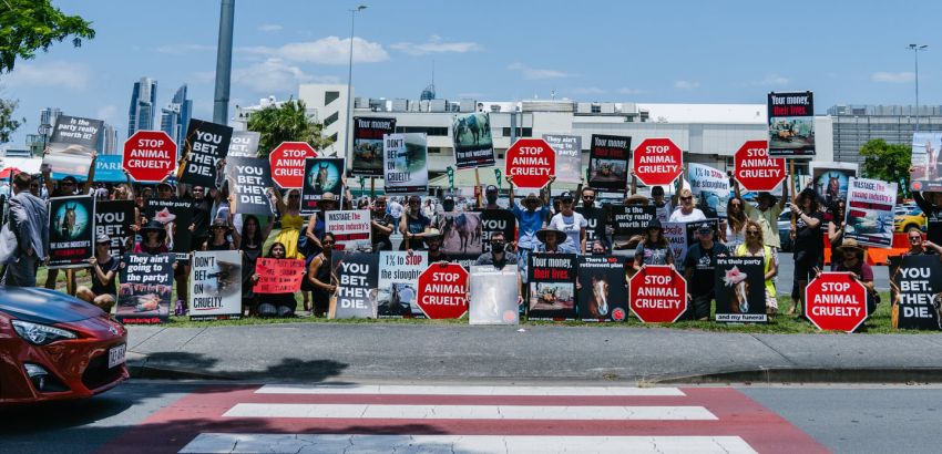 Cropped photo of anti horse racing protest 