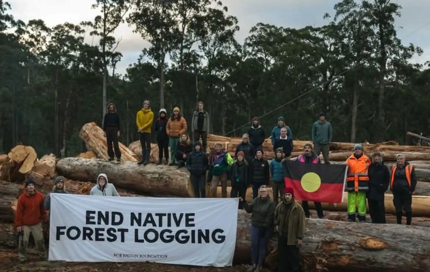 End Native Forest Logging, Bob Brown Foundation