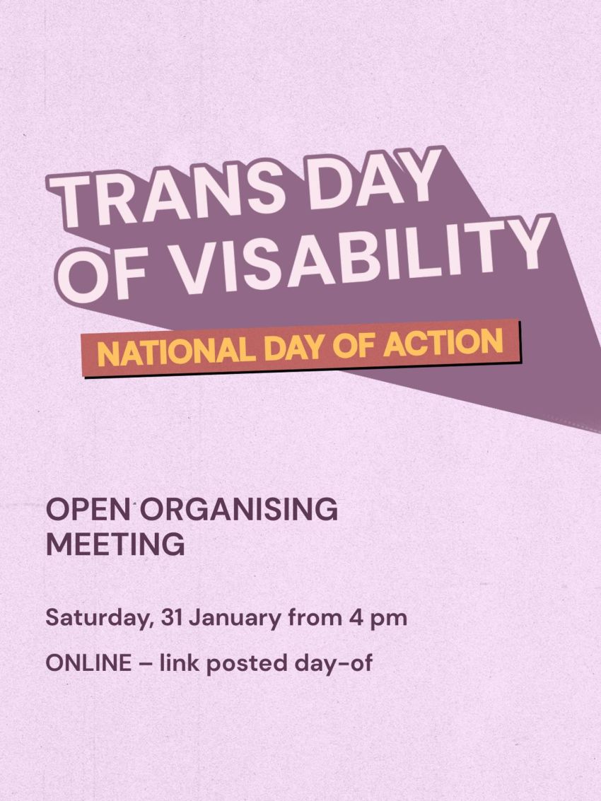 Poster for event Open Organising Meeting: Trans Day of Visibility National Day of Action, 4pm 31/01/2026 Online