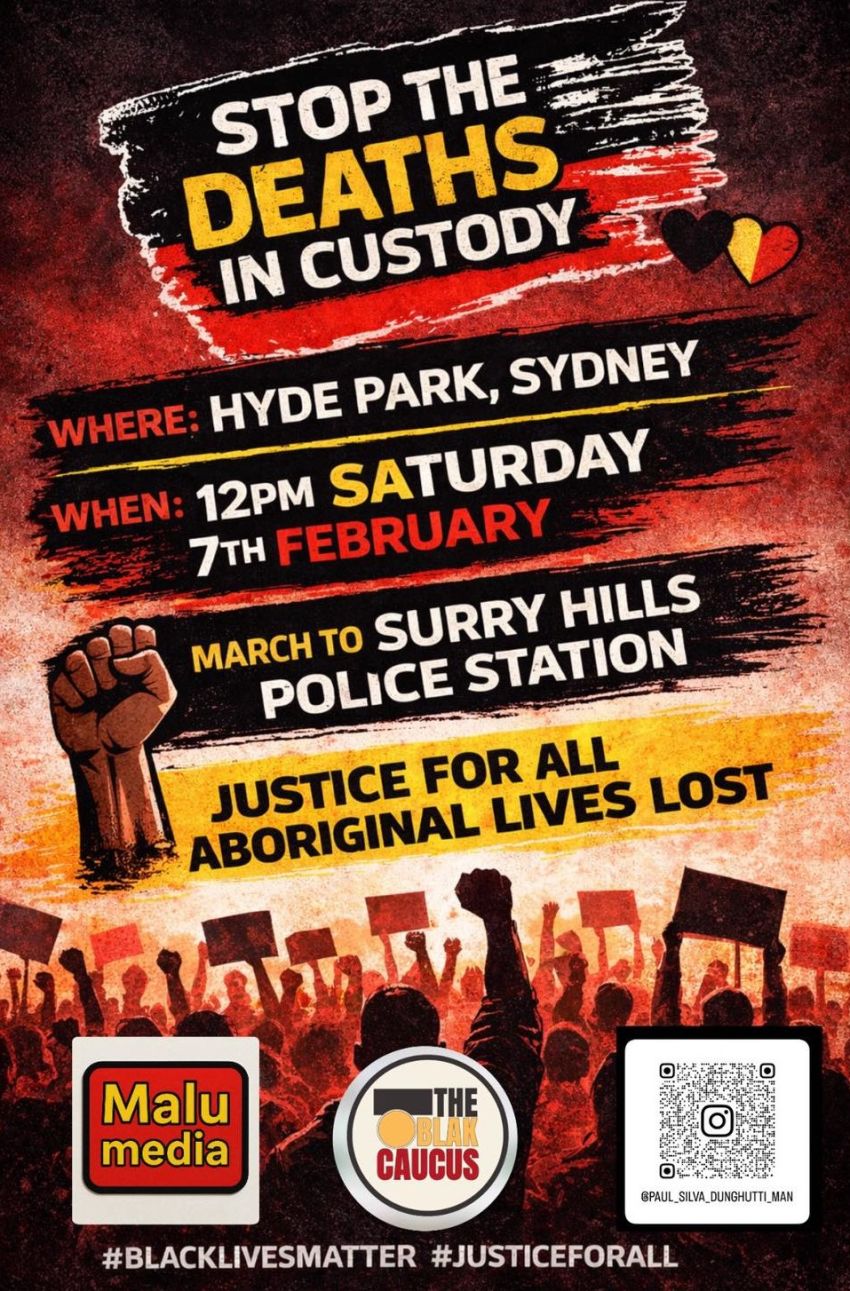 stop deaths in custody