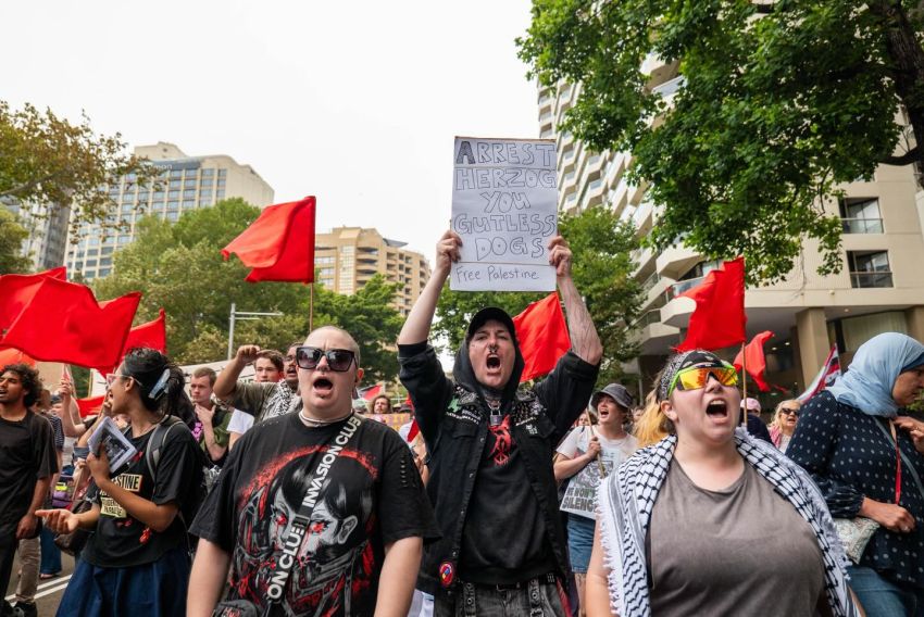 Arrest Herzog, Gadigal Country/Sydney, February 1