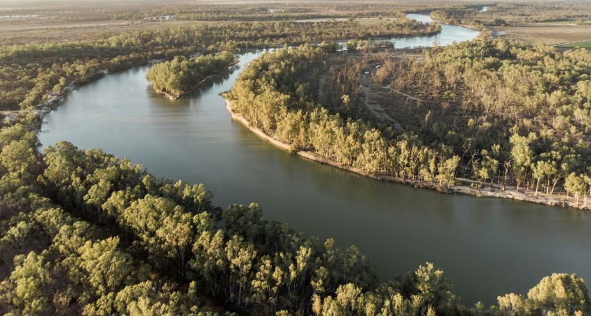 Photo of Murray Darling by Zac Edmonds, cropped.