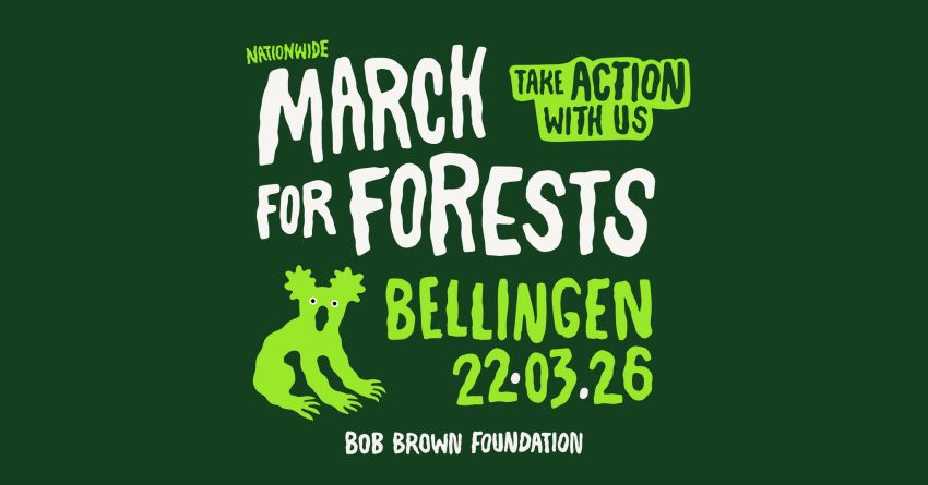 Artwork and graphic for event March in March for Forests, 11am Bellingen Park, Bellingen NSW 2454