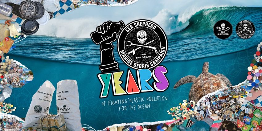 Artwork and graphic for event Sea Shepard Day for the Ocean, 4pm-6pm 22/02/2026, Short Point, Short Point Rd, Merimbula NSW 2548