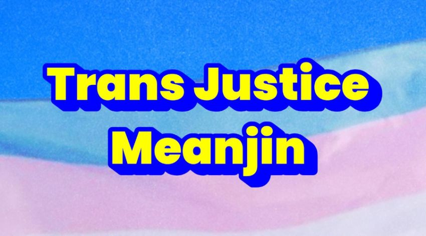 Artwork and graphic that says Trans Justice Meanjin